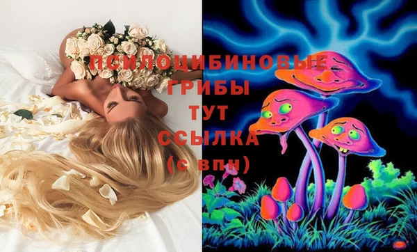 apvp Медвежьегорск