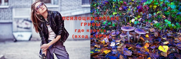 apvp Медвежьегорск